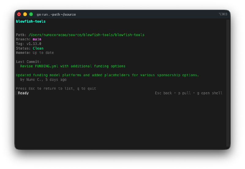 Detail view for a single repo