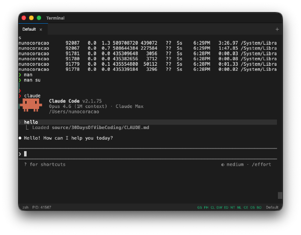 30 Days of Vibe Coding - Day 27 - Terminal