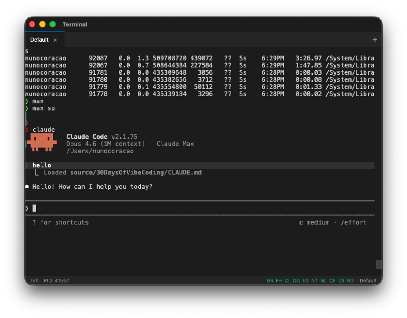 Terminal running with multiple features visible