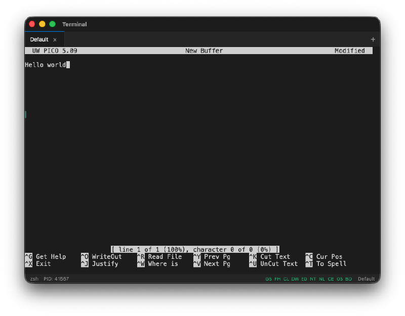 Pico text editor running inside Terminal