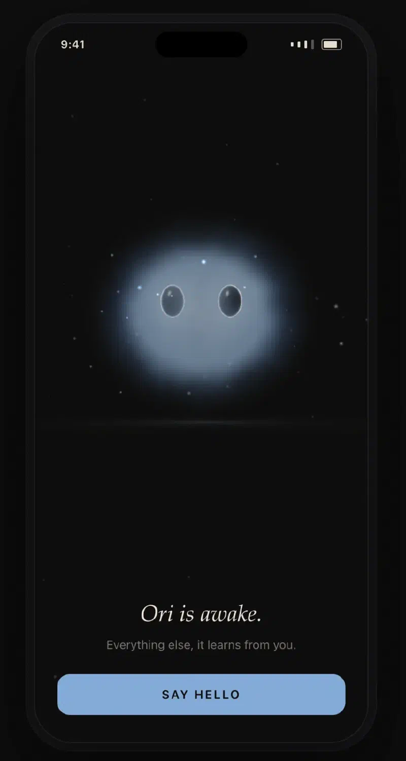 The Anima onboarding screen